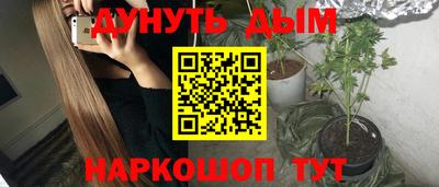 амф Кингисепп