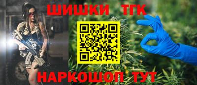 амф Кингисепп