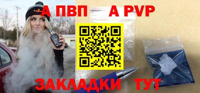 амф Кингисепп